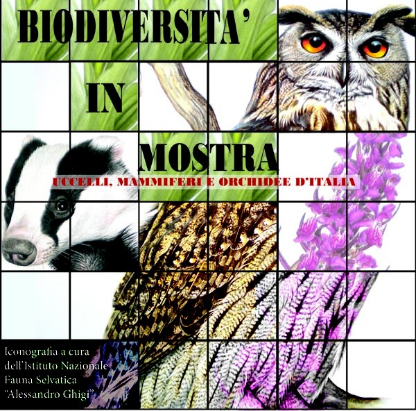 Biodiversità in mostra in Auditorium